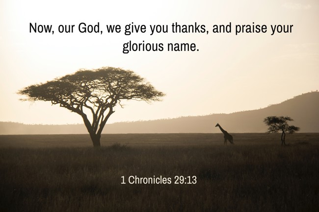 Now, our God, we give you thanks, and praise your glorious name. - 1 Chronicles 29:13