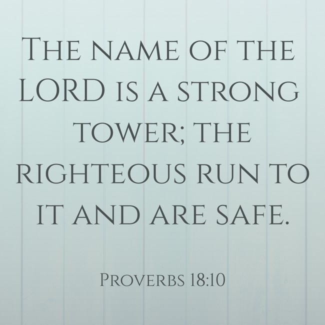 The name of the LORD is a strong tower; the righteous run to it and are safe. - Proverbs 18:10