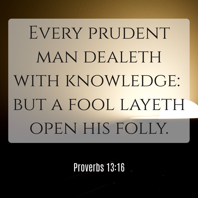  Every prudent man dealeth with knowledge: but a fool layeth open his folly.   - Proverbs 13:16 