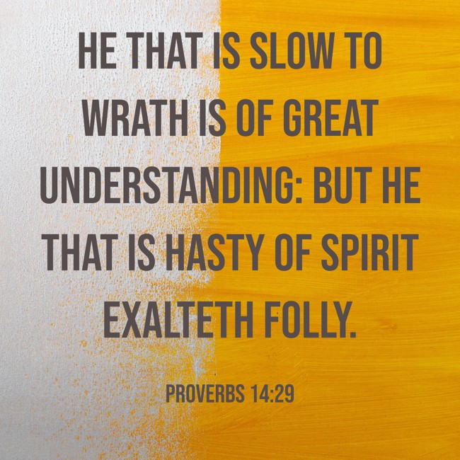  He that is slow to wrath is of great understanding: but he that is hasty of spirit exalteth folly.   - Proverbs 14:29 