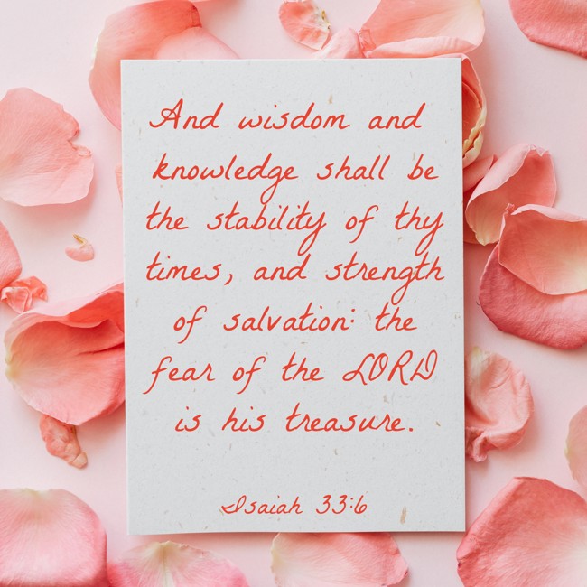  And wisdom and knowledge shall be the stability of thy times, and strength of salvation: the fear of the LORD is his treasure.   - Isaiah 33:6 