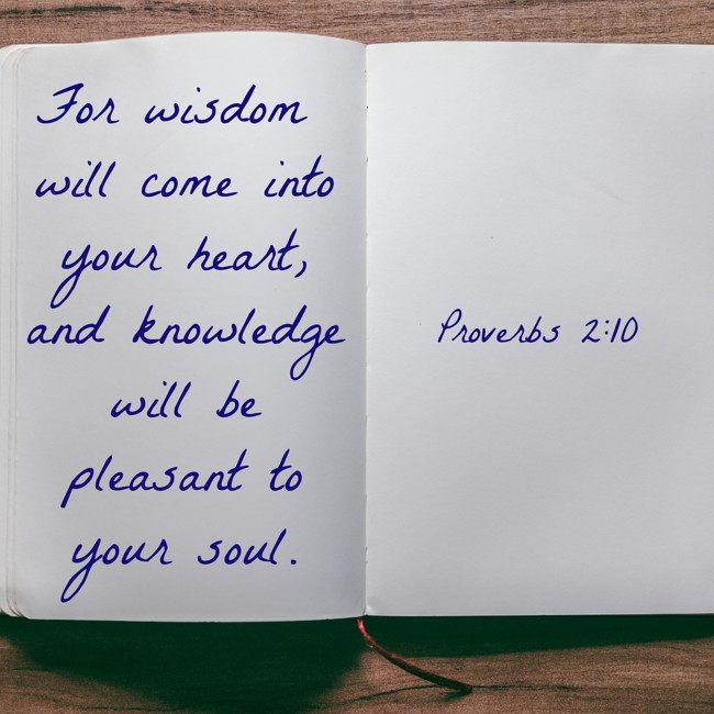  For wisdom will come into your heart, and knowledge will be pleasant to your soul.   - Proverbs 2:10 