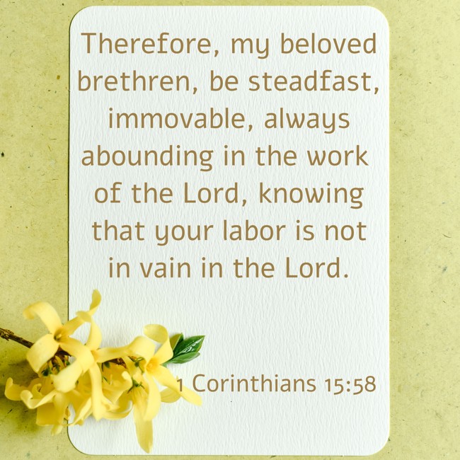 Therefore, my beloved brethren, be steadfast, immovable, always abounding in the work of the Lord, knowing that your labor is not in vain in the Lord. - 1 Corinthians 15:58