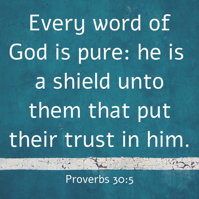  Every word of God is pure: he is a shield unto them that put their trust in him.   - Proverbs 30:5 