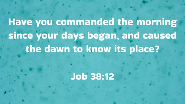 Have you commanded the morning since your days began, and caused the dawn to know its place? - Job 38:12