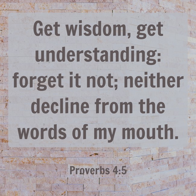  Get wisdom, get understanding: forget it not; neither decline from the words of my mouth.   - Proverbs 4:5 