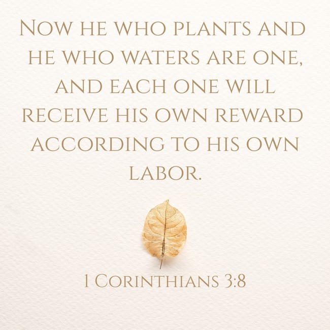 Now he who plants and he who waters are one, and each one will receive his own reward according to his own labor. - 1 Corinthians 3:8