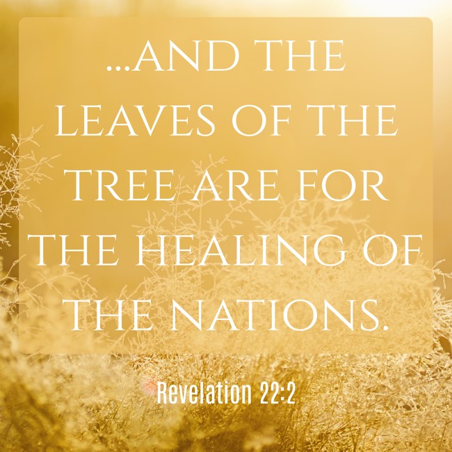 ...and the leaves of the tree are for the healing of the nations. - Revelation 22:2
