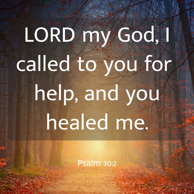 LORD my God, I called to you for help, and you healed me. - Psalm 30:2