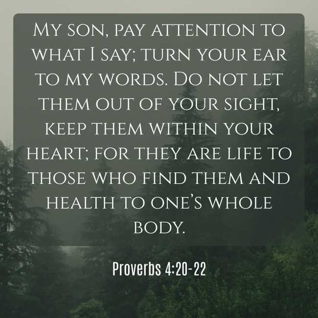 My son, pay attention to what I say; turn your ear to my words. Do not let them out of your sight, keep them within your heart; for they are life to those who find them and health to one’s whole body. - Proverbs 4:20-22