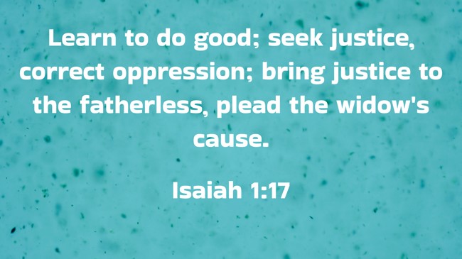 Learn to do good; seek justice, correct oppression; bring justice to the fatherless, plead the widow's cause. - Isaiah 1:17