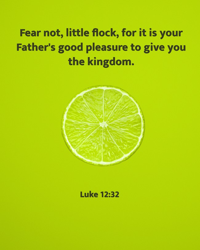 Fear not, little flock, for it is your Father's good pleasure to give you the kingdom. - Luke 12:32