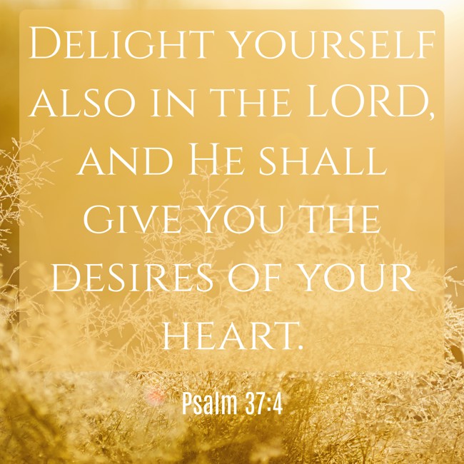 Delight yourself also in the LORD, and He shall give you the desires of your heart. - Psalm 37:4