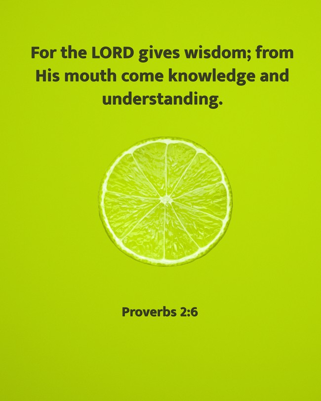 For the LORD gives wisdom; from His mouth come knowledge and understanding. - Proverbs 2:6