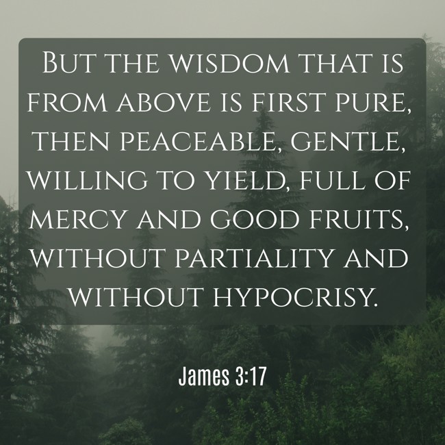 But the wisdom that is from above is first pure, then peaceable, gentle, willing to yield, full of mercy and good fruits, without partiality and without hypocrisy. - James 3:17