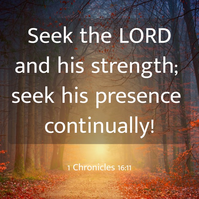 Seek the LORD and his strength; seek his presence continually! - 1 Chronicles 16:11