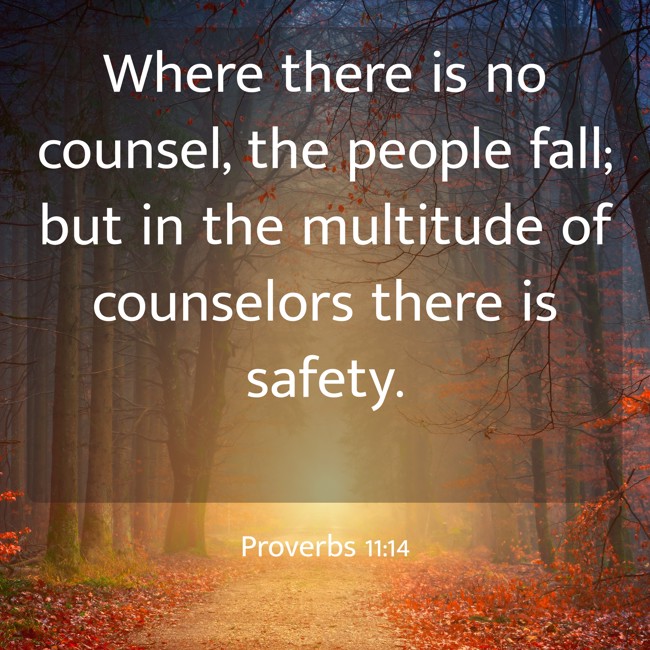 Where there is no counsel, the people fall; but in the multitude of counselors there is safety. - Proverbs 11:14
