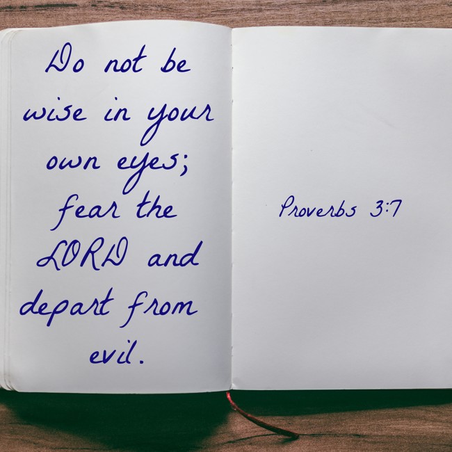 Do not be wise in your own eyes; fear the LORD and depart from evil. - Proverbs 3:7