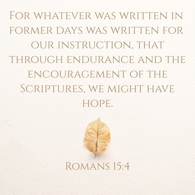 For whatever was written in former days was written for our instruction, that through endurance and the encouragement of the Scriptures, we might have hope. - Romans 15:4