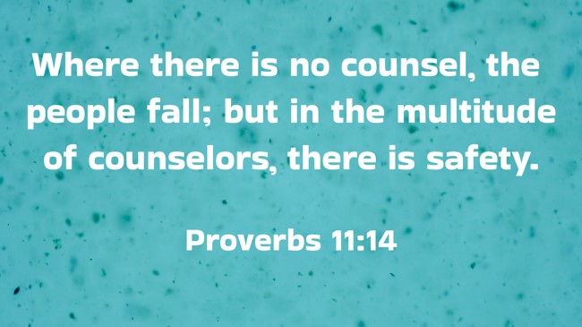 Where there is no counsel, the people fall; but in the multitude of counselors, there is safety. - Proverbs 11:14