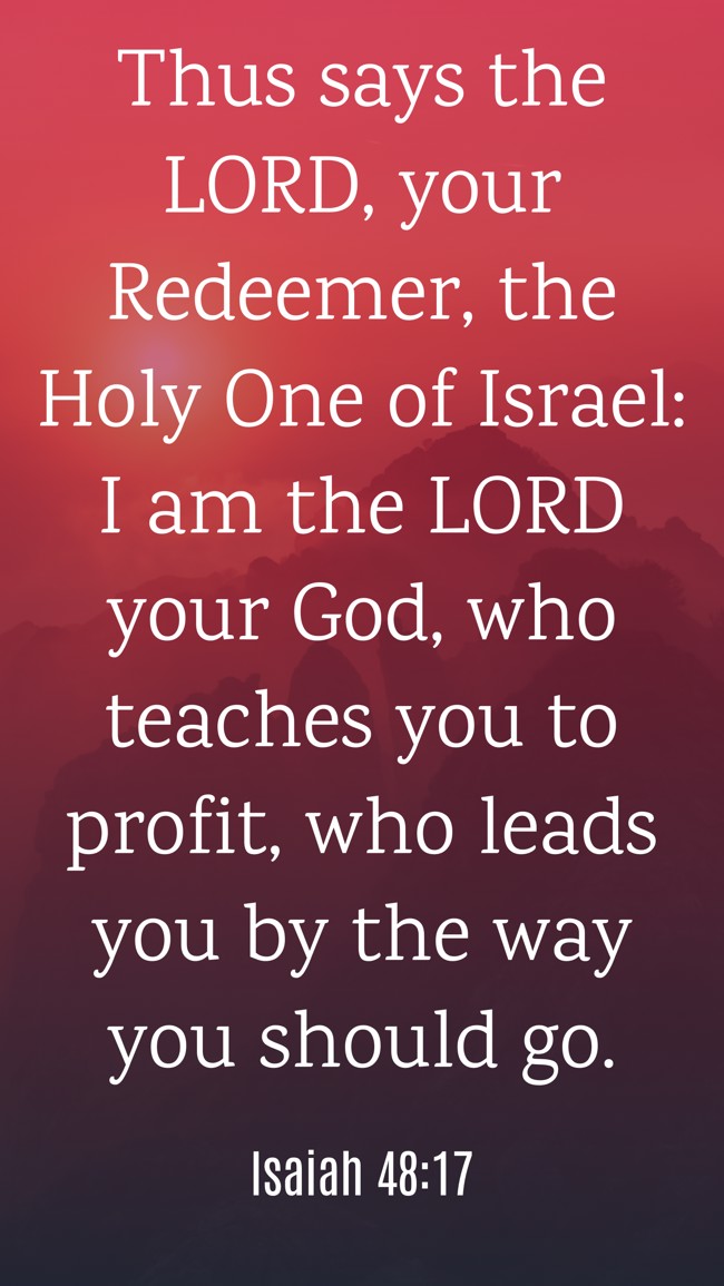 Thus says the LORD, your Redeemer, the Holy One of Israel: I am the LORD your God, who teaches you to profit, who leads you by the way you should go. - Isaiah 48:17