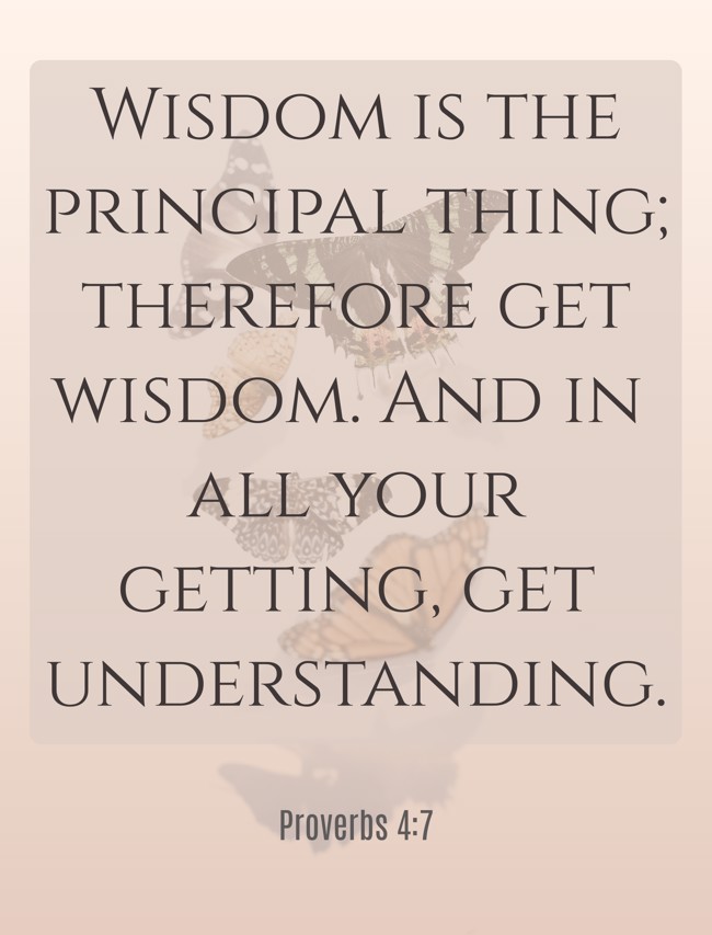 Wisdom is the principal thing; therefore get wisdom. And in all your getting, get understanding. - Proverbs 4:7