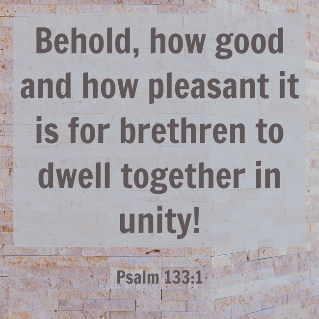 Behold, how good and how pleasant it is for brethren to dwell together in unity! - Psalm 133:1