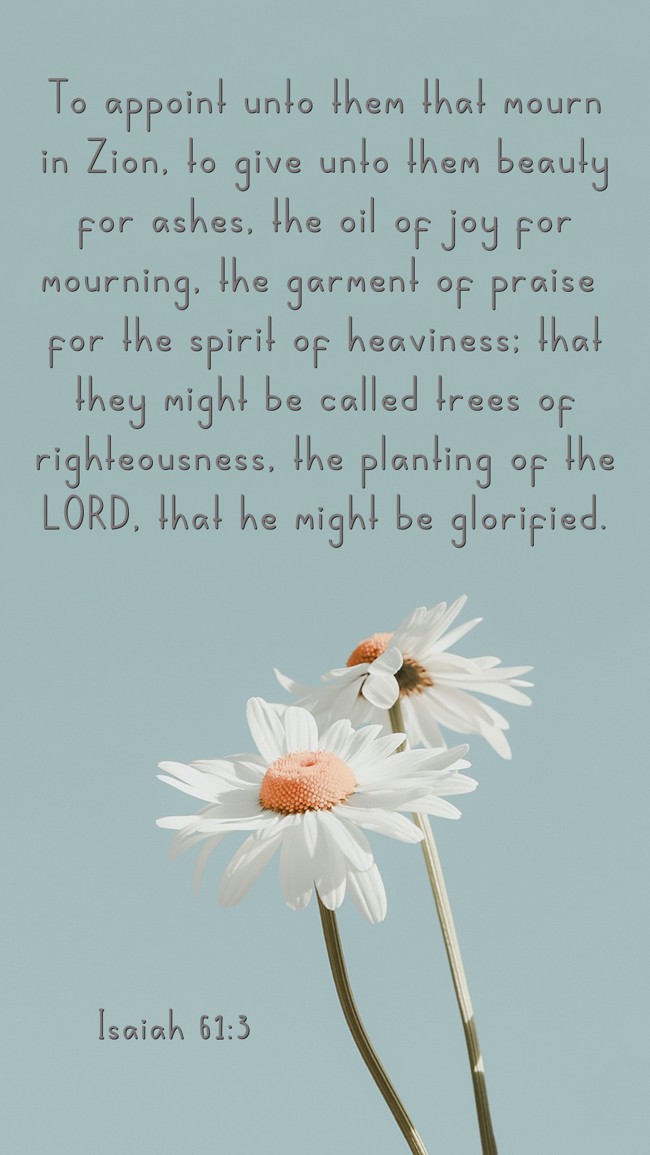  To appoint unto them that mourn in Zion, to give unto them beauty for ashes, the oil of joy for mourning, the garment of praise for the spirit of heaviness; that they might be called trees of righteousness, the planting of the LORD, that he might be glorified.   - Isaiah 61:3 