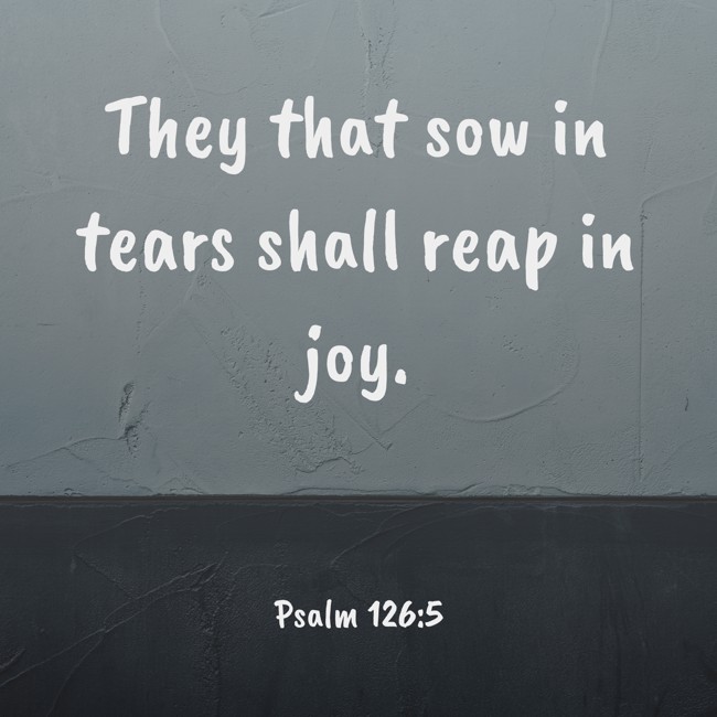  They that sow in tears shall reap in joy.   - Psalm 126:5 