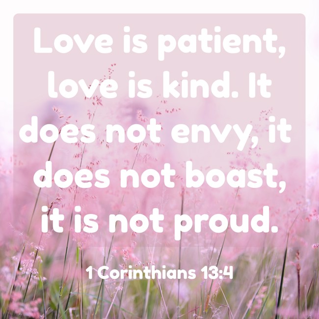 Love is patient, love is kind. It does not envy, it does not boast, it is not proud. - 1 Corinthians 13:4