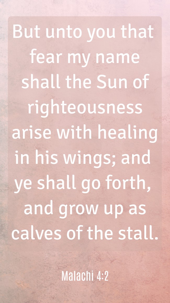  But unto you that fear my name shall the Sun of righteousness arise with healing in his wings; and ye shall go forth, and grow up as calves of the stall.   - Malachi 4:2 