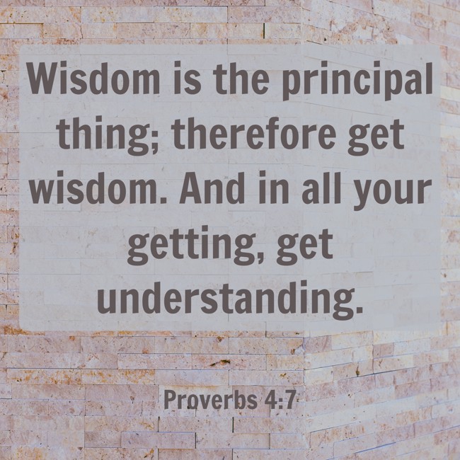 Wisdom is the principal thing; therefore get wisdom. And in all your getting, get understanding. - Proverbs 4:7