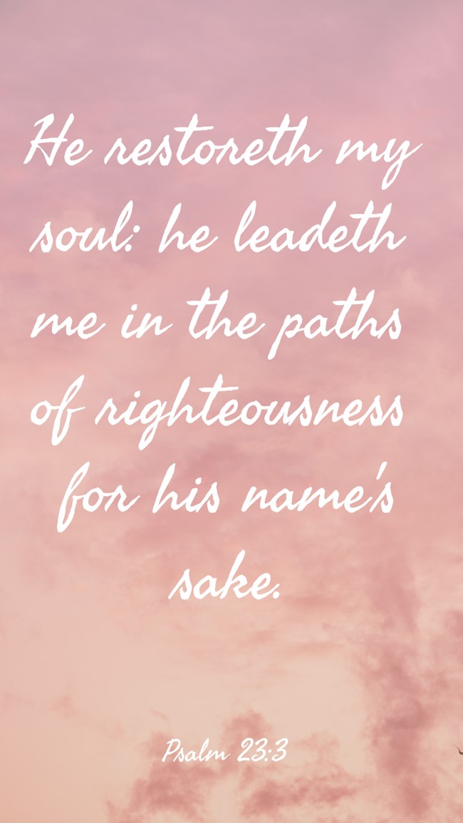  He restoreth my soul: he leadeth me in the paths of righteousness for his name's sake.   - Psalm 23:3 
