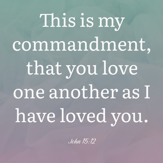 This is my commandment, that you love one another as I have loved you. - John 15:12