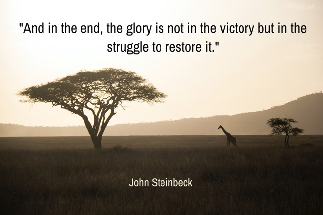  And in the end, the glory is not in the victory but in the struggle to restore it.   - John Steinbeck 