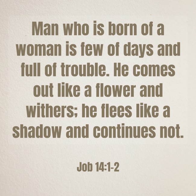 Man who is born of a woman is few of days and full of trouble. He comes out like a flower and withers; he flees like a shadow and continues not. - Job 14:1-2