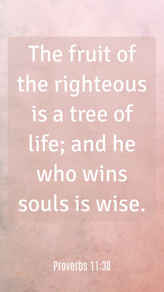The fruit of the righteous is a tree of life; and he who wins souls is wise. - Proverbs 11:30