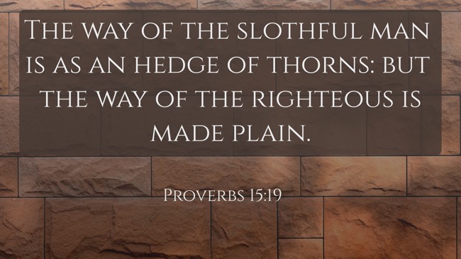 The way of the slothful man is as an hedge of thorns: but the way of the righteous is made plain. - Proverbs 15:19
