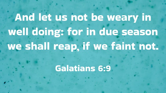 And let us not be weary in well doing: for in due season we shall reap, if we faint not. - Galatians 6:9