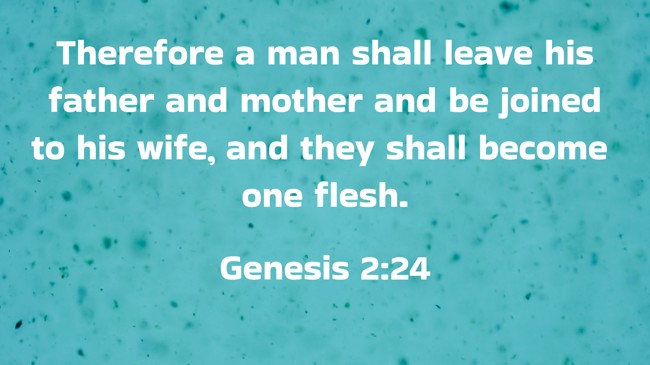 Therefore a man shall leave his father and mother and be joined to his wife, and they shall become one flesh. - Genesis 2:24