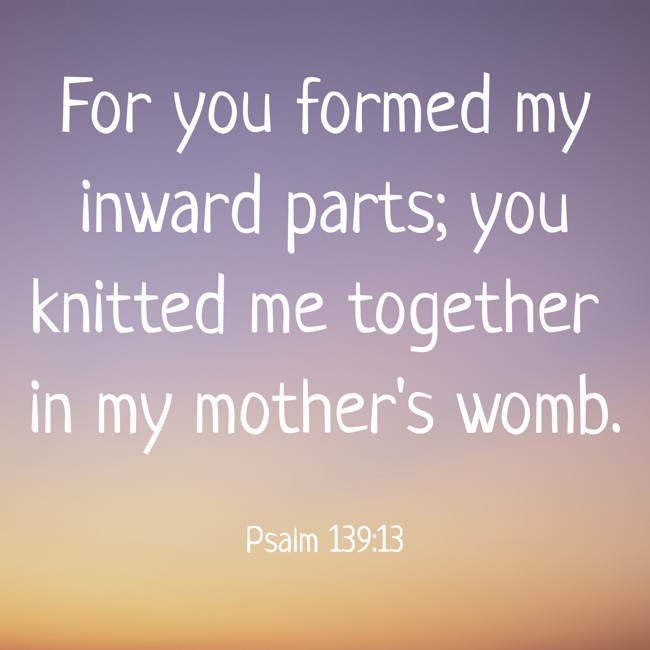 For you formed my inward parts; you knitted me together in my mother's womb. - Psalm 139:13
