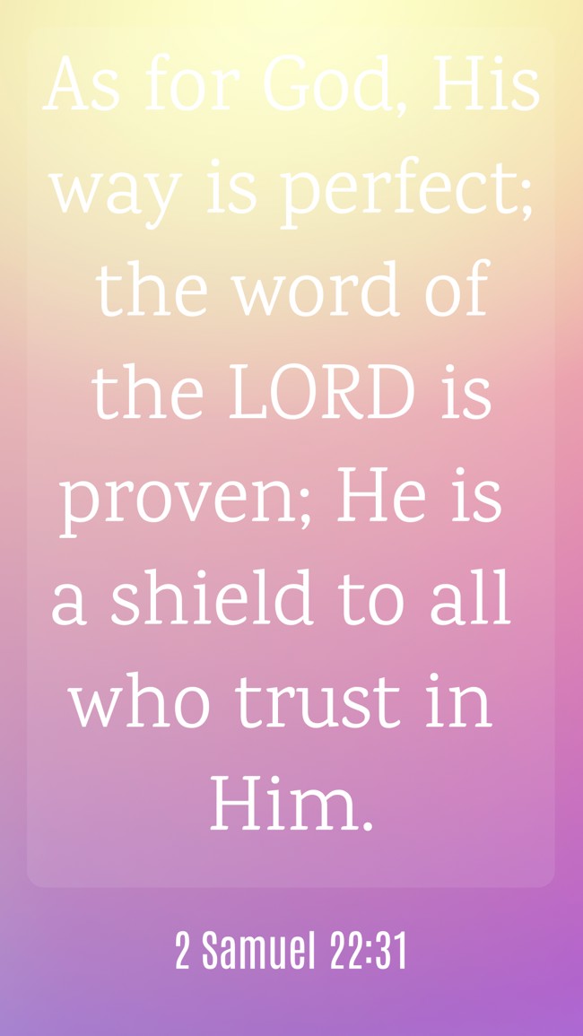 As for God, His way is perfect; the word of the LORD is proven; He is a shield to all who trust in Him. - 2 Samuel 22:31