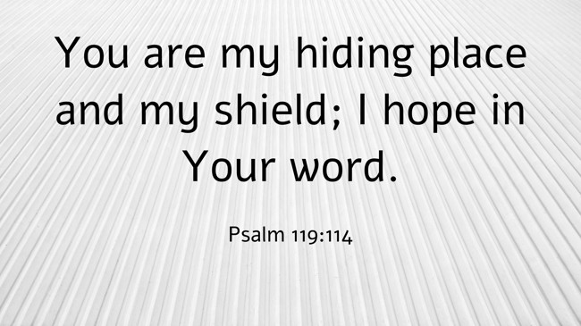 You are my hiding place and my shield; I hope in Your word. - Psalm 119:114