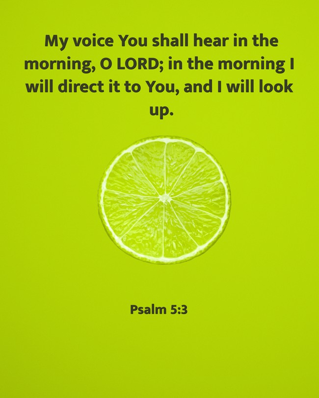 My voice You shall hear in the morning, O LORD; in the morning I will direct it to You, and I will look up. - Psalm 5:3
