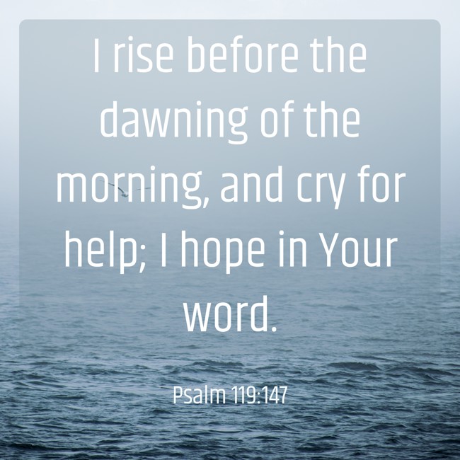 I rise before the dawning of the morning, and cry for help; I hope in Your word. - Psalm 119:147