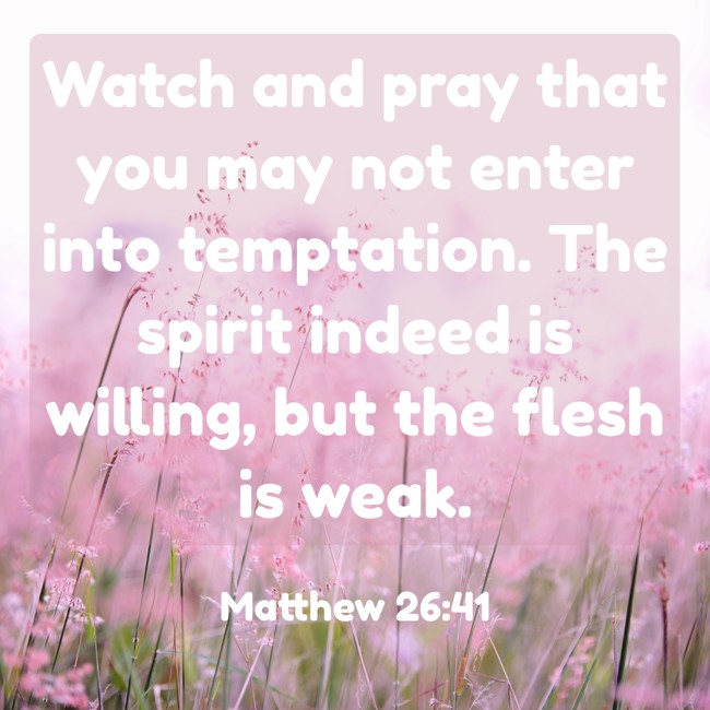 Watch and pray that you may not enter into temptation. The spirit indeed is willing, but the flesh is weak. - Matthew 26:41