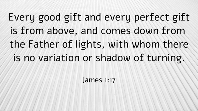 Every good gift and every perfect gift is from above, and comes down from the Father of lights, with whom there is no variation or shadow of turning. - James 1:17