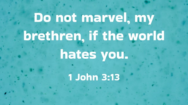 Do not marvel, my brethren, if the world hates you. - 1 John 3:13