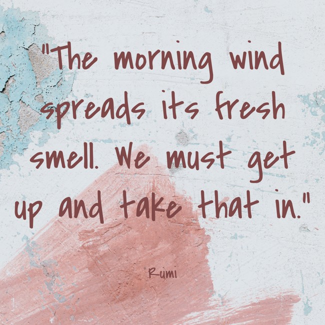 The morning wind spreads its fresh smell. We must get up and take that in. - Rumi