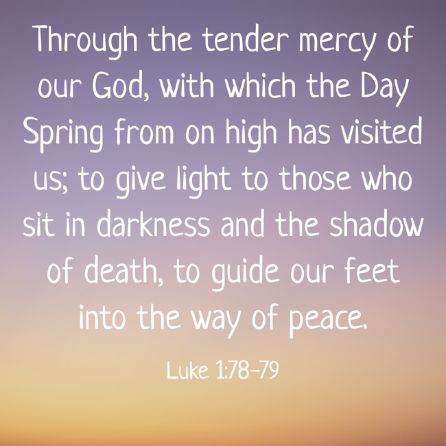 Through the tender mercy of our God, with which the Day Spring from on high has visited us; to give light to those who sit in darkness and the shadow of death, to guide our feet into the way of peace. - Luke 1:78-79